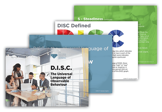 DISC eBook Pages