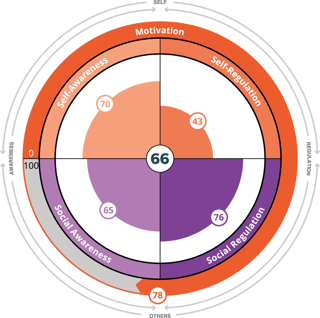 EQ_Wheel_Personal_Sample_Reports