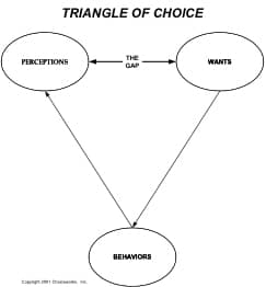 Triangle of Choice