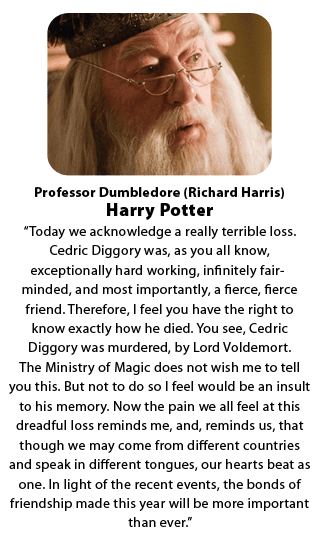 Professor Dumbledore - Harry Potter
