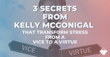 3 secrets from Kelly McGonigal that transform stress from a vice to a virtue | Stress