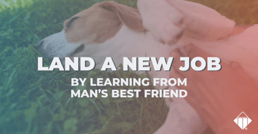 Land a new job by learning from man’s best friend | Hiring