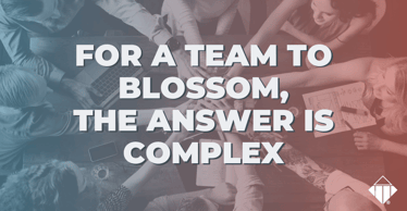 For a Team to Blossom, the Answer Is Complex | Team Management